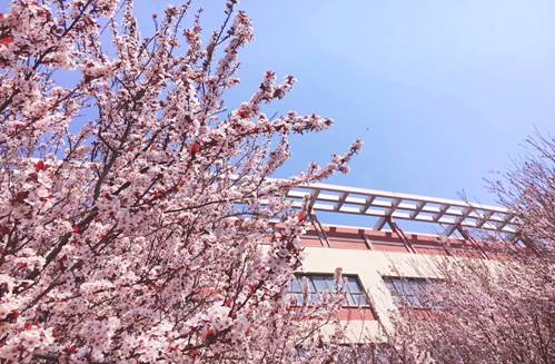 东骏201601121103 东骏201601121103