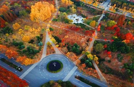 高分子18-1张旭201801120329 高分子18-1张旭201801120329