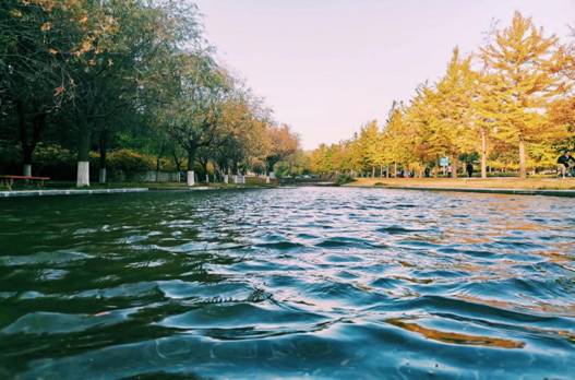 金属19-2班荆鹏智201901120209 金属19-2班荆鹏智201901120209