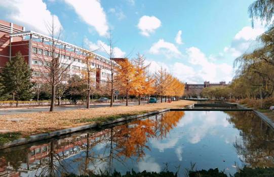 金属17-1-郭智新-07 金属17-1-郭智新-07