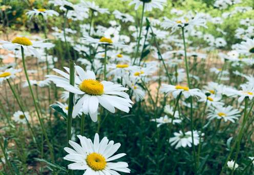 金属18-1黄鑫201801120608 金属18-1黄鑫201801120608