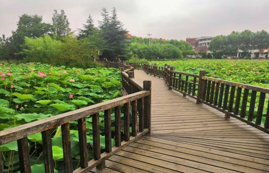 材化18-2 王馨凝 201801120221 材化18-2 王馨凝 201801120221