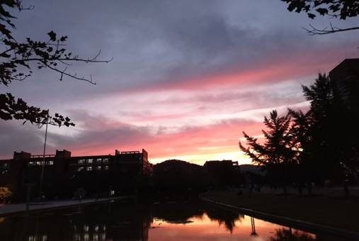 新能源16郑仪201601120343 新能源16郑仪201601120343